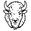American Bison