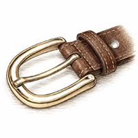 Solid Brass Buckle