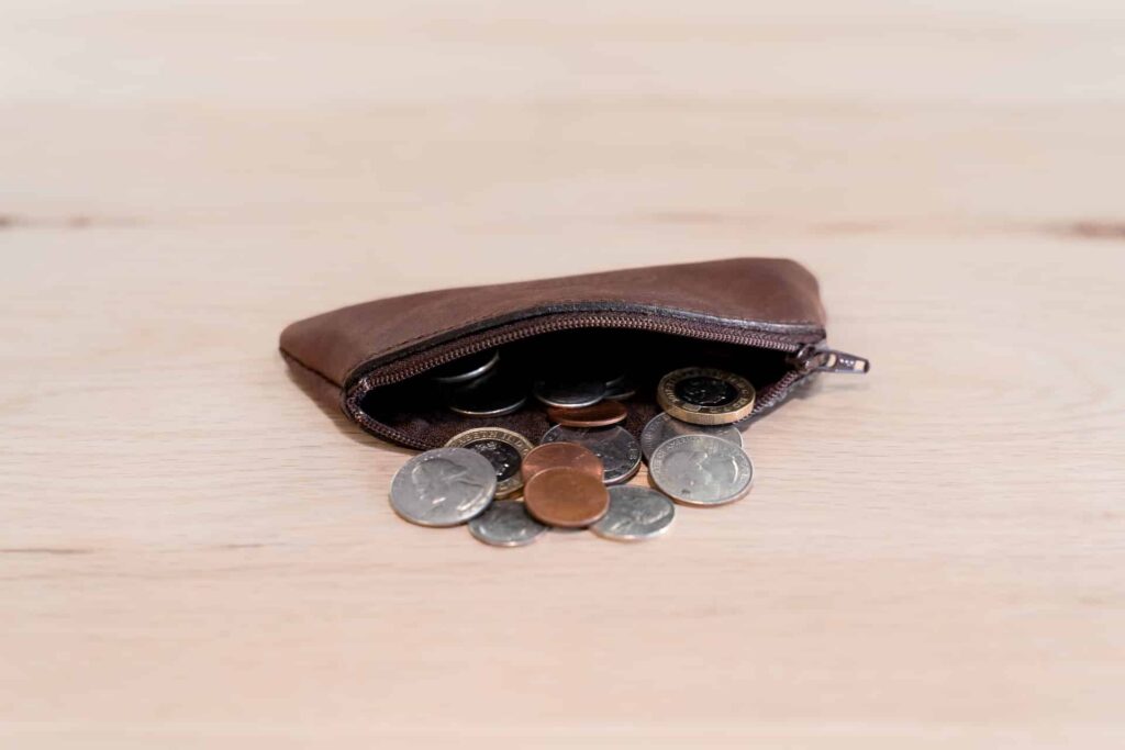 Brown Leather Coin Purse with zipper open holding coins.
