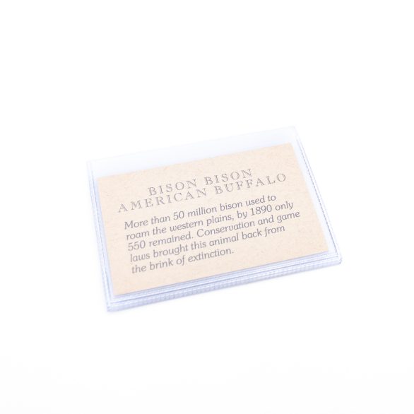 Credit Card Wallet Insert - Vinyl