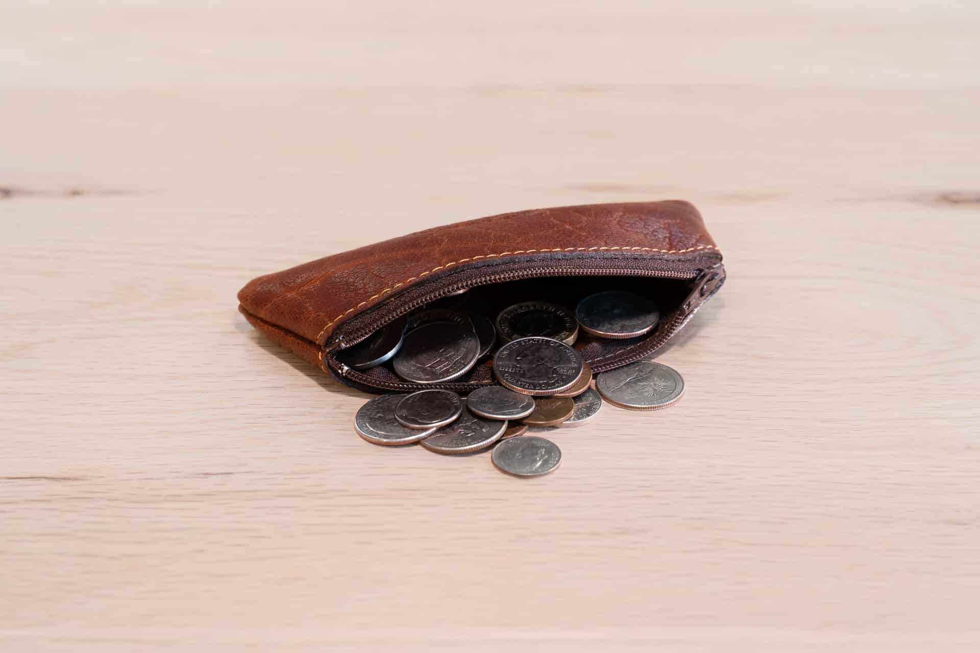 Leather Coin Purse with Zipper - Black, Brown, Red - American Chestnut