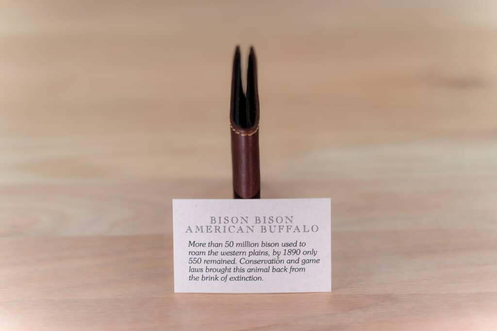 American Bison Wallet Authentication Card Included With This Thin Bifold Wallet