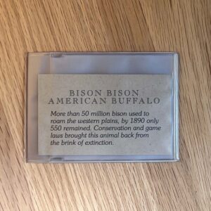 Bifold Wallet Photo Insert - Side Loading Only - 6 Slots