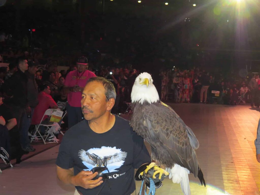 Bison Leather Jesses For Native American Bald Eagle Made By Bill Keitel Of The Buffalo Billfold Company