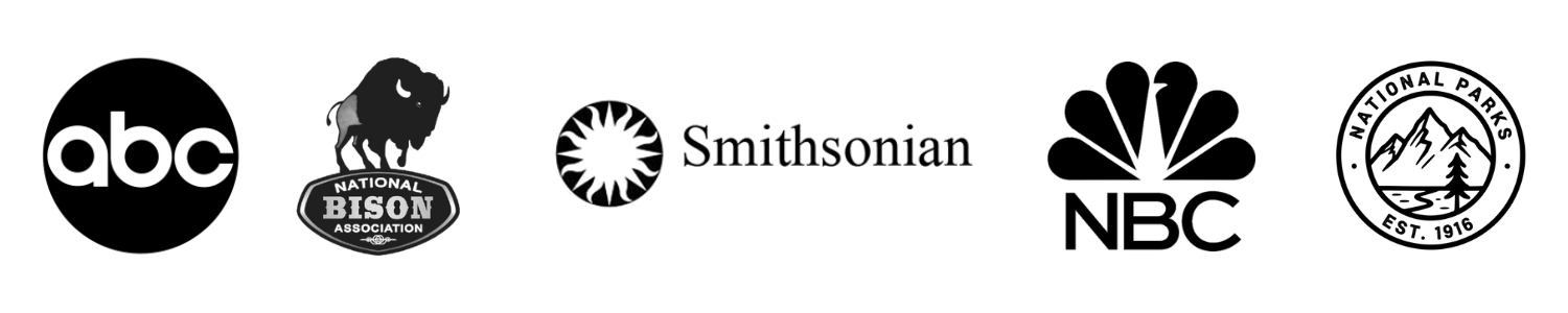 Featured At National Parks Including (3) Ditch The Metal Wallet - Experience American Bison Leather