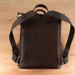 Back view of Northbound bison leather backpack